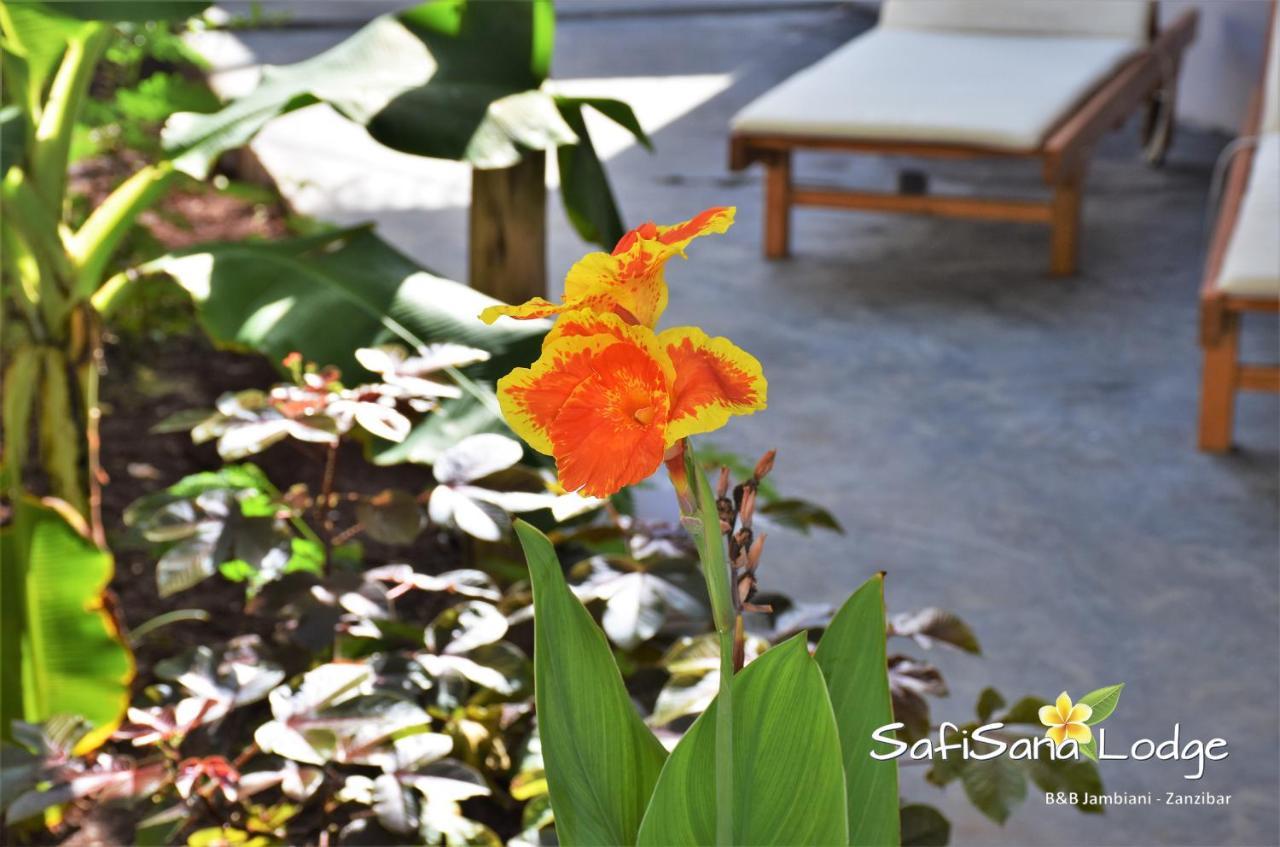 Safisana Lodge Jambiani  Bagian luar foto